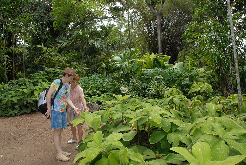 0196 Cairns Botanic Gardens.jpg